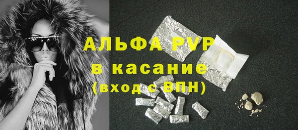 сатива Абаза